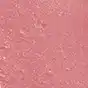 116014