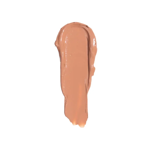 LIBS003